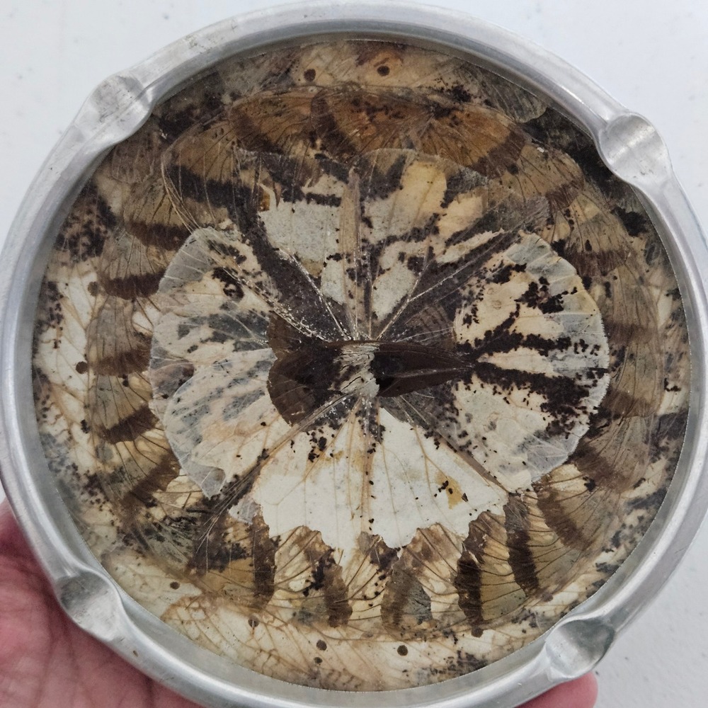 Vintage Art‎ Deco Butterfly Wing Aluminum Ashtray 4.5 inch Silver MCM Oddities